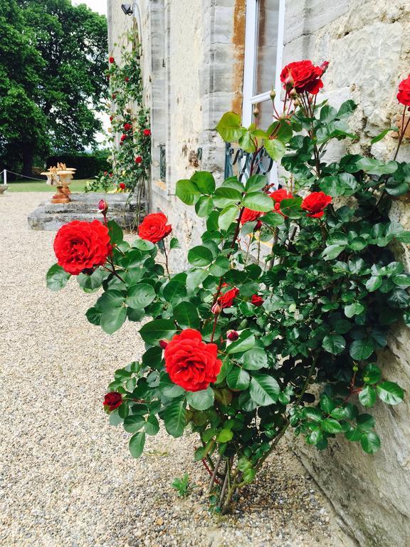 مبيت وإفطار Saint-Pourçain-sur-Sioule Chateau De Briailles - Chambre D'Hotes المظهر الخارجي الصورة